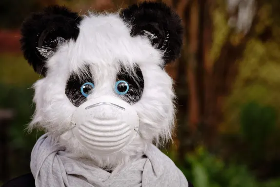 Kasino Mars Bet Sokongan